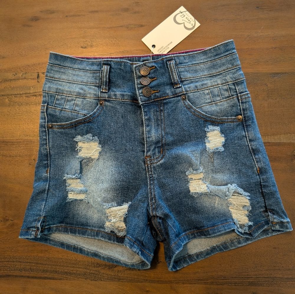 Vince Blue High Waisted Distressed Denim Shorts Size 5 NWT